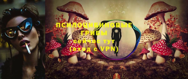 крисы Михайлов