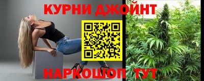 дмт Аргун
