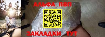 дмт Аргун