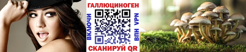 Галлюциногенные грибы Psilocybine cubensis Зерноград