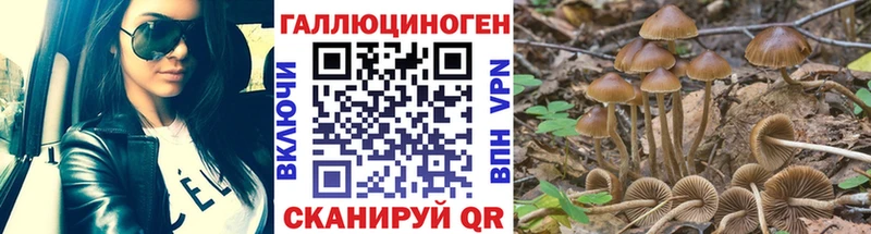 Псилоцибиновые грибы MAGIC MUSHROOMS Зерноград
