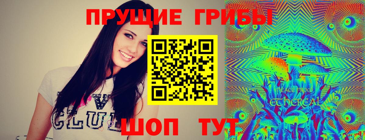Зерноград  Псилоцибиновые грибы Psilocybine cubensis  Псилоцибиновые грибы Cubensis  Вход с VPN 