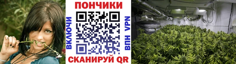 Бошки Шишки VHQ  Зерноград 